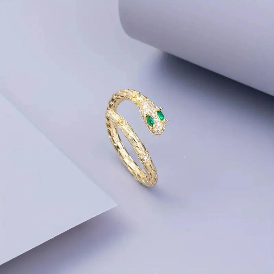 Snake Along Ring
