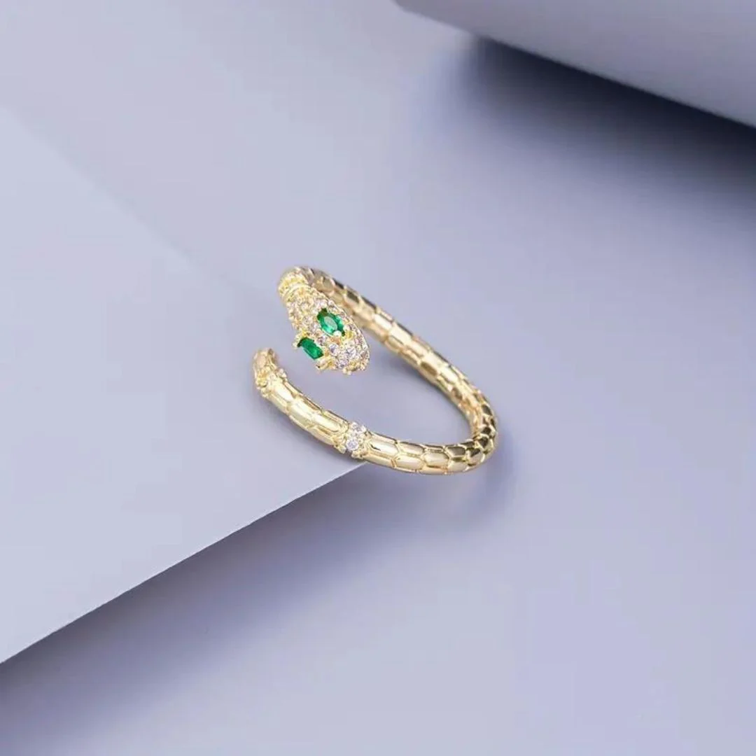 Snake Along Ring - Image 2