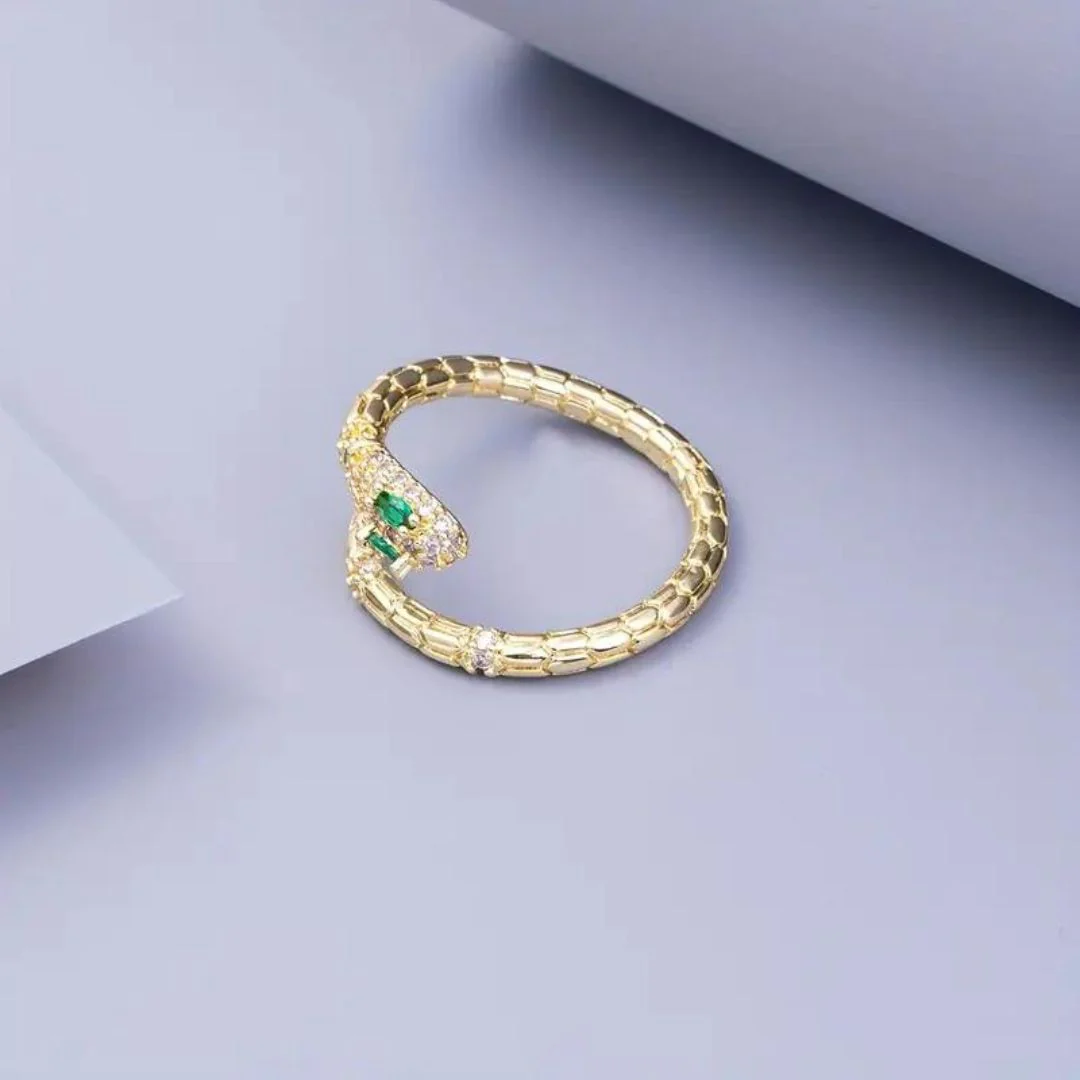 Snake Along Ring - Image 3